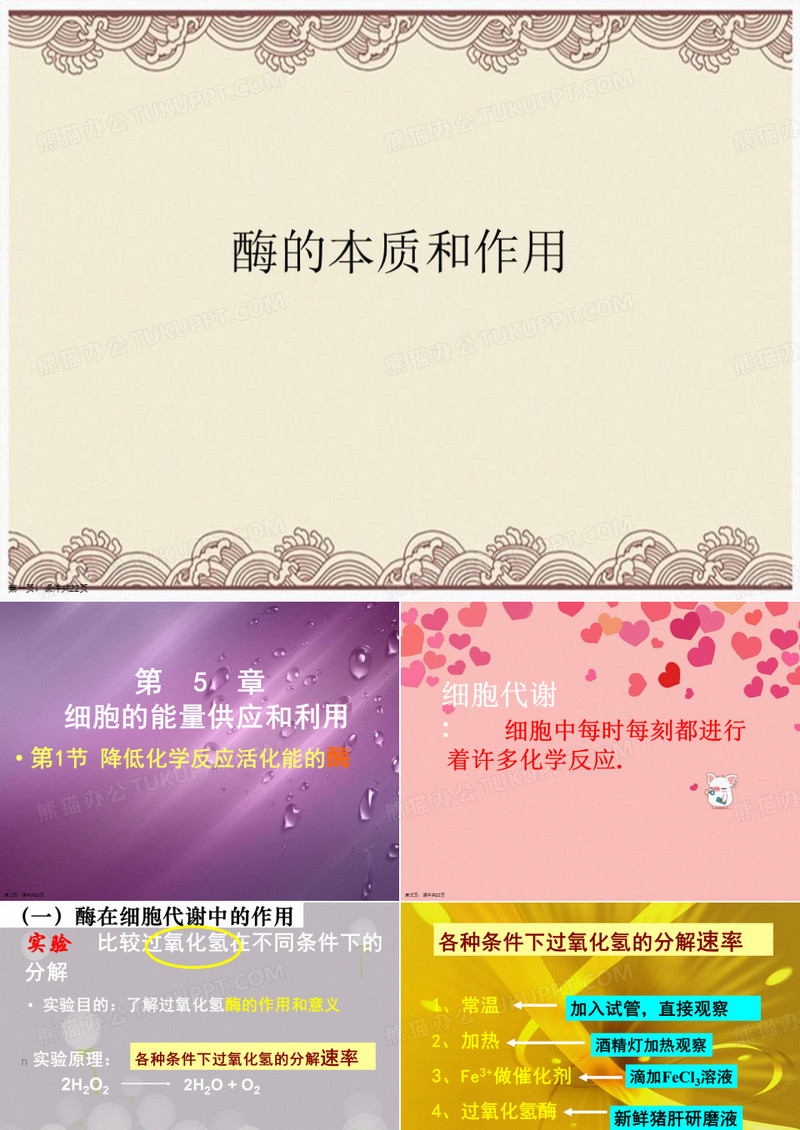 酶的本质和作用