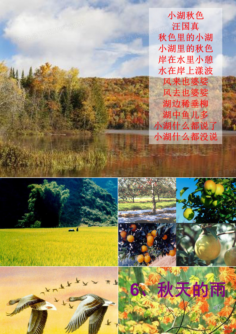 《秋天的雨》