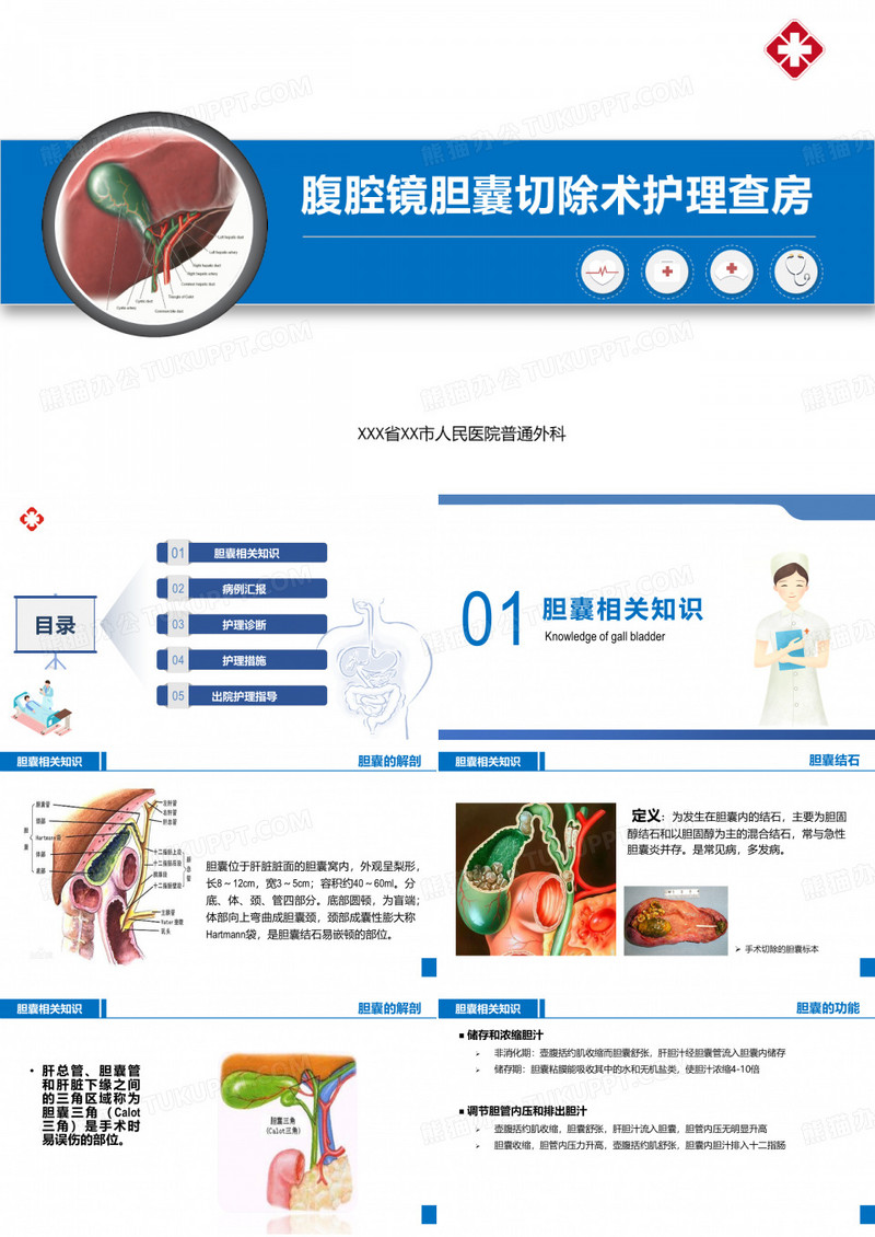 腹腔镜胆囊切除术护理查房
