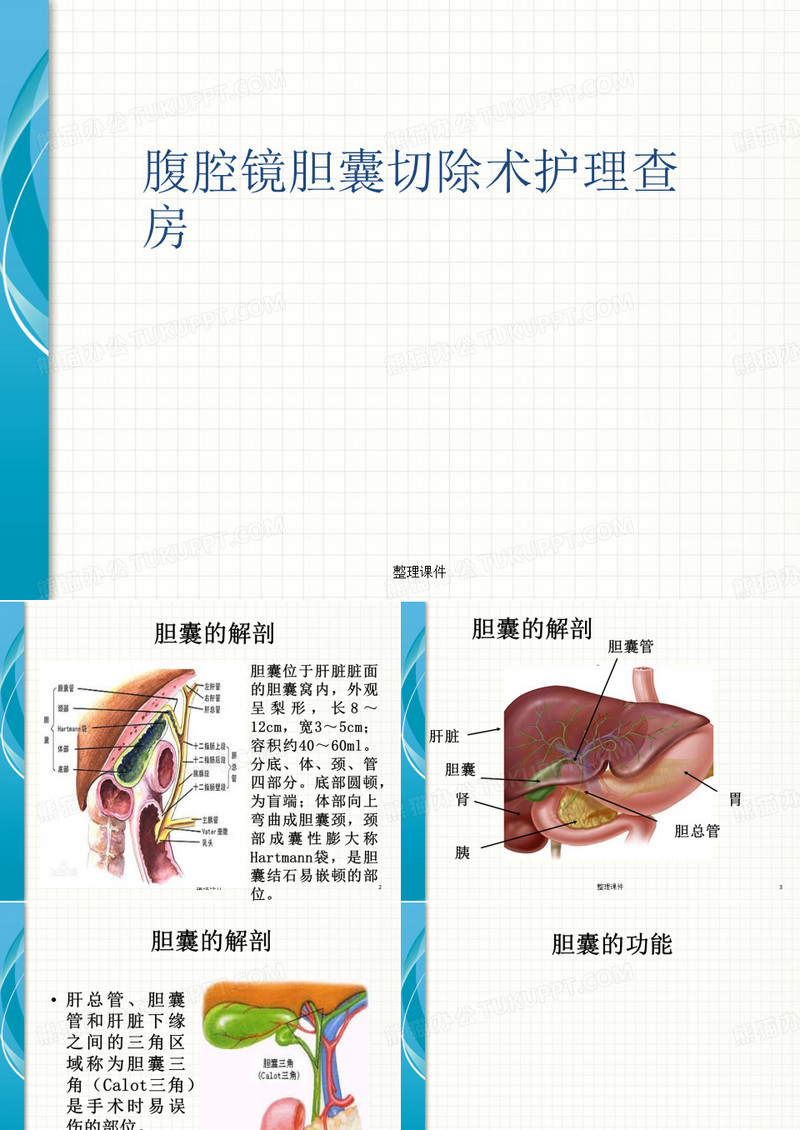 腹腔镜胆囊切除术护理查房
