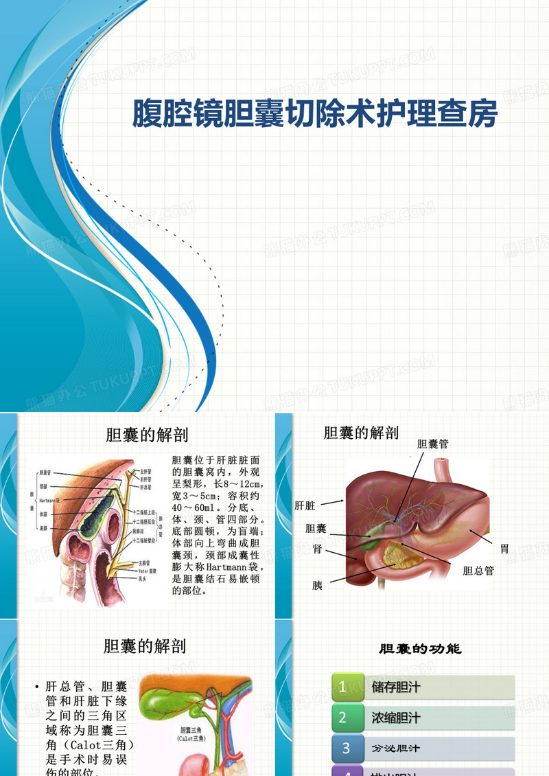 腹腔镜胆囊切除术护理查房