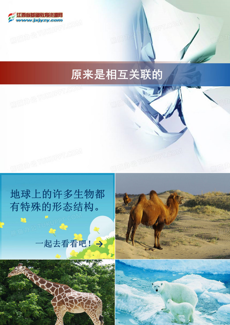 原来是相互关联的