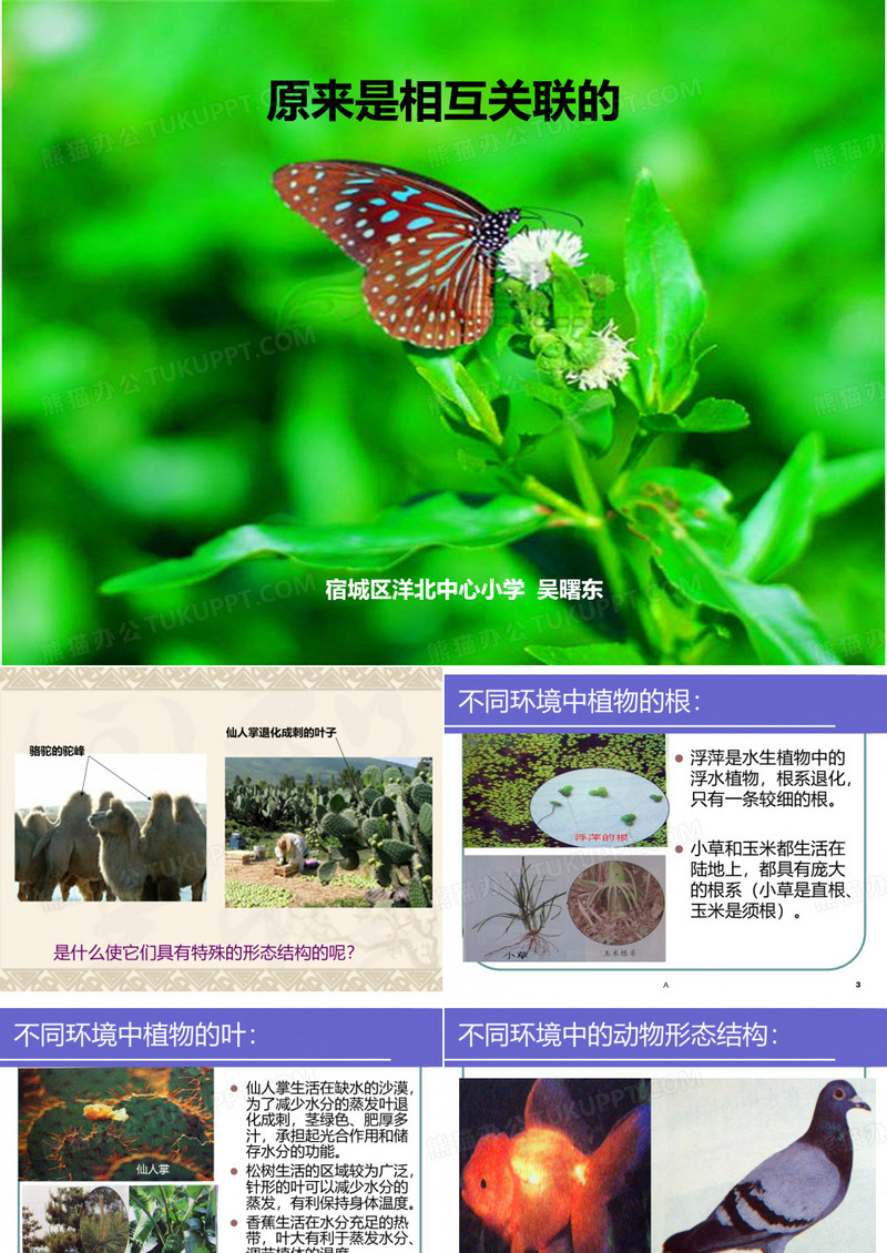 原来是相互关联的