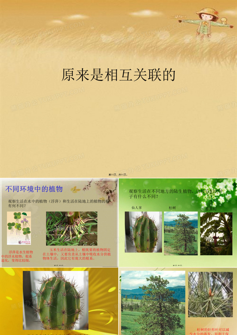 原来是相互关联的