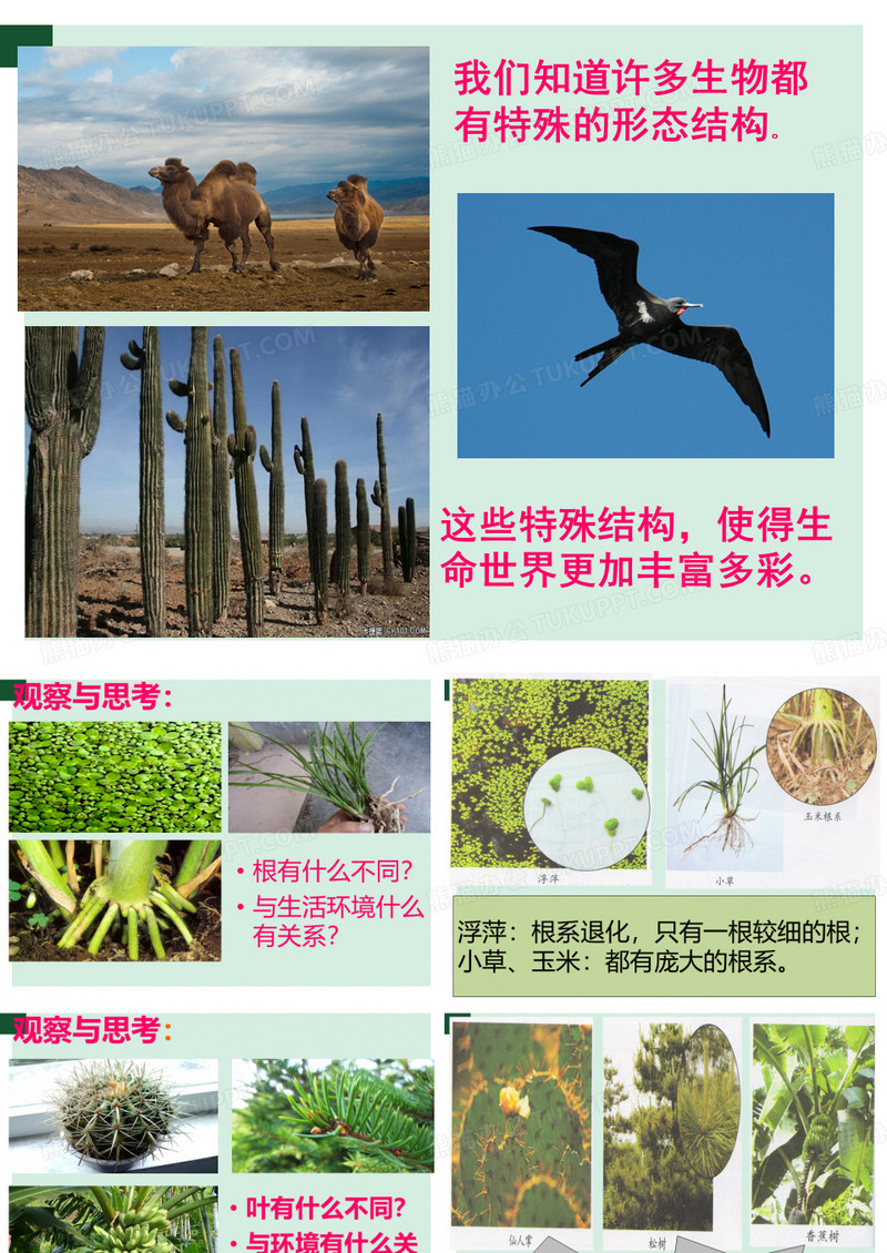 《原来是相互关联的》