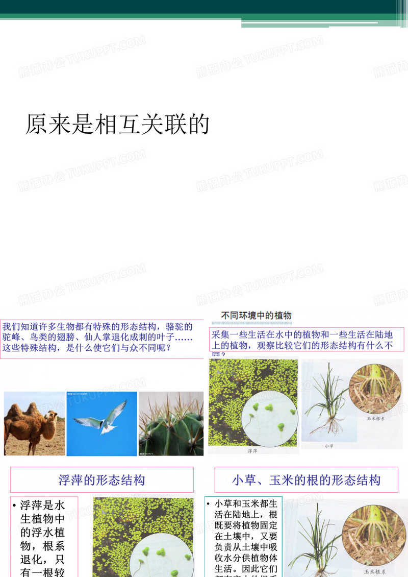 原来是相互关联的