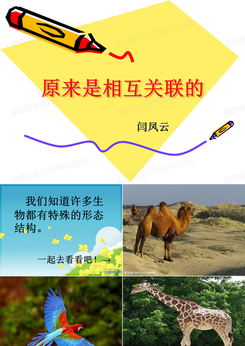 《原来是相互关联的》