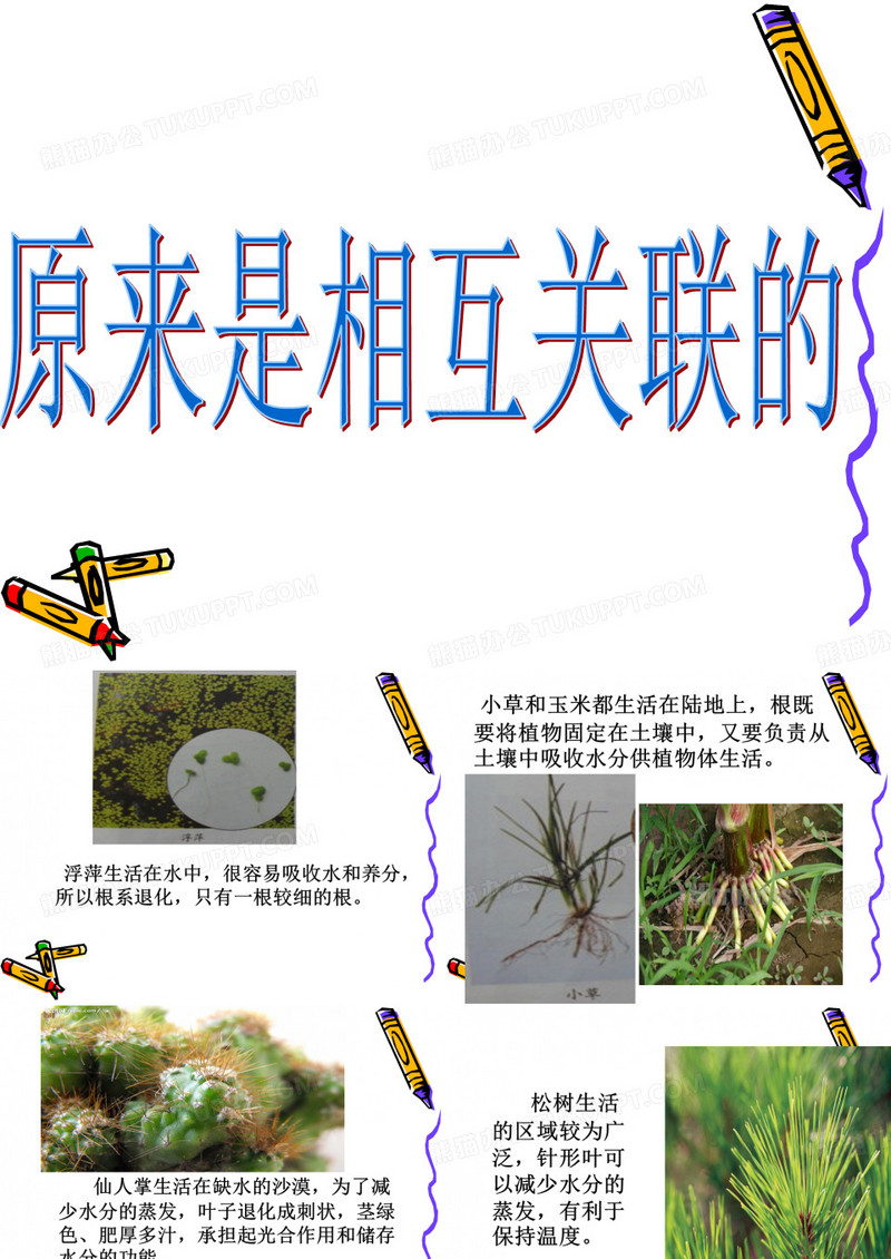 6、原来是相互关联的