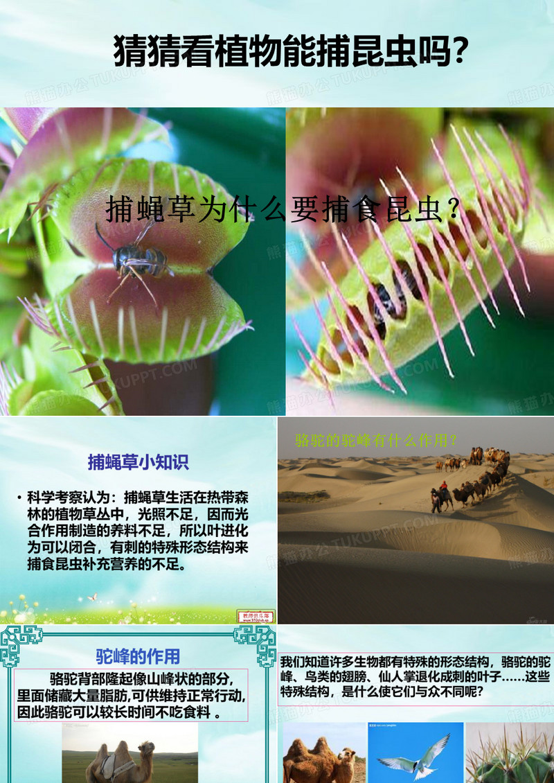 4.6原来是相互关联的