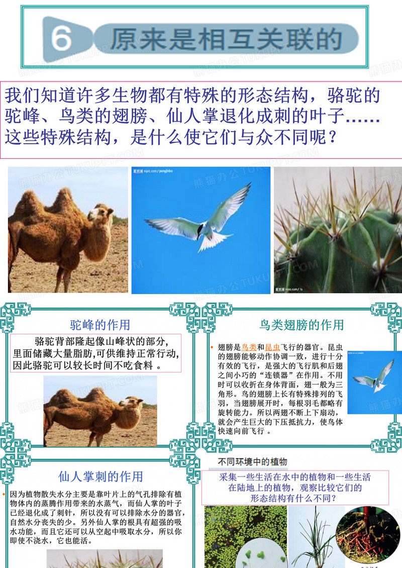 《原来是相互关联的》PPt