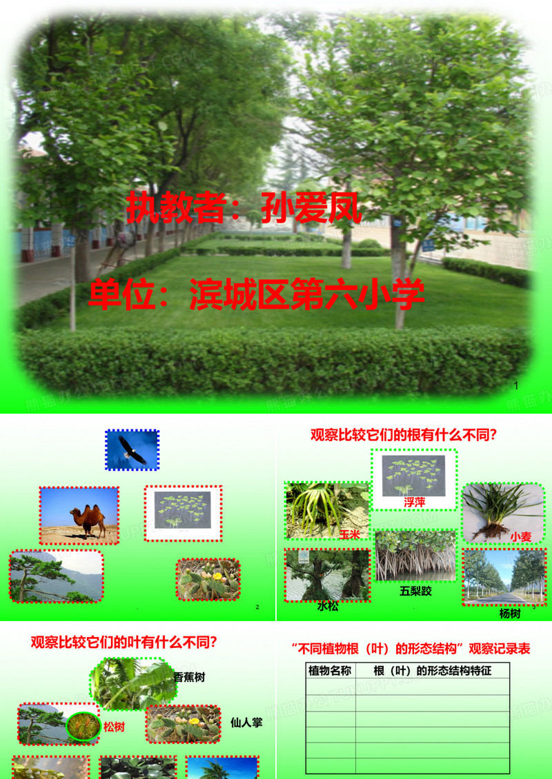 原来是相互关联的PPT课件