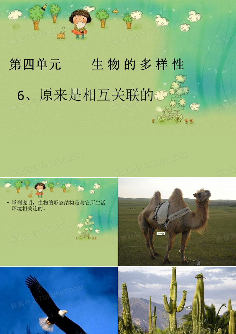 原来是相互关联的(精品中的精品)