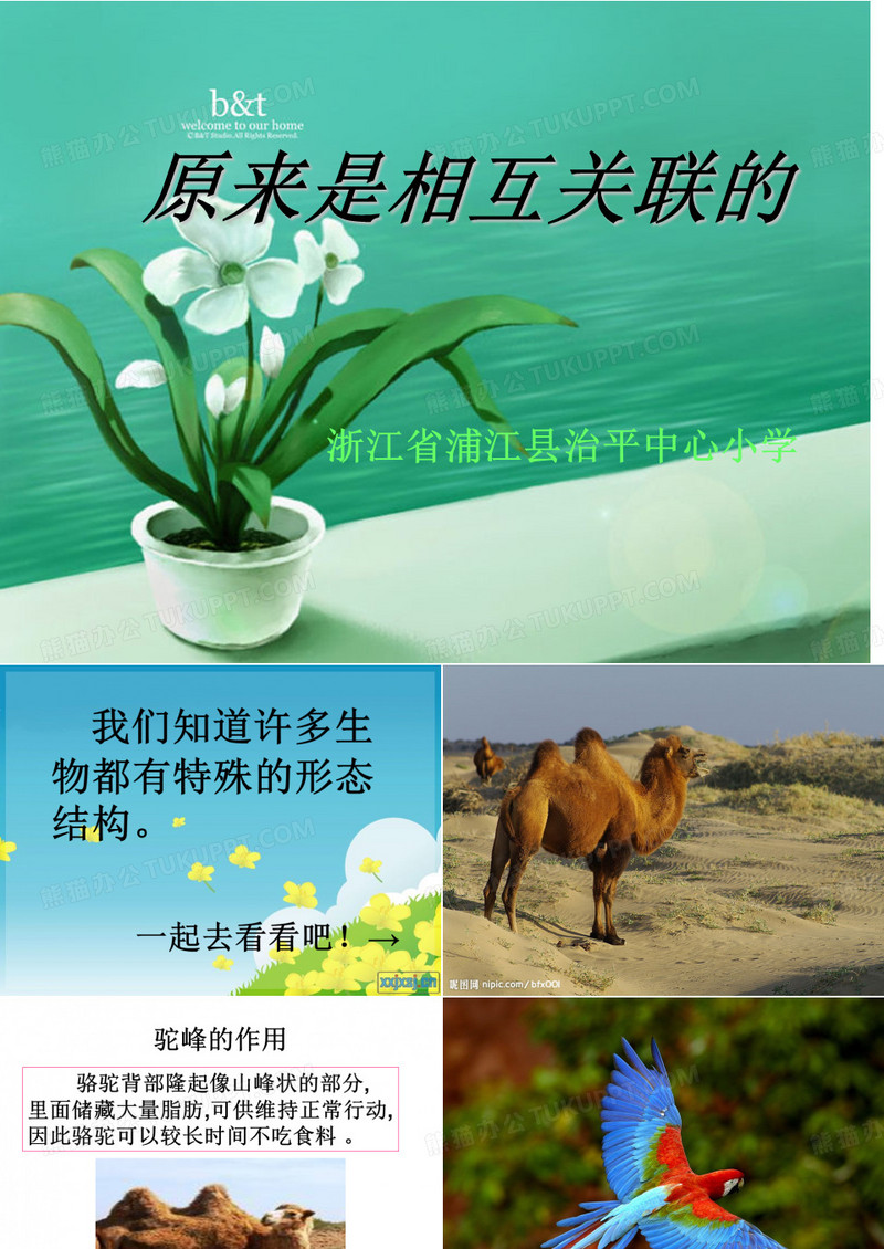 六年级科学原来是相互关联的