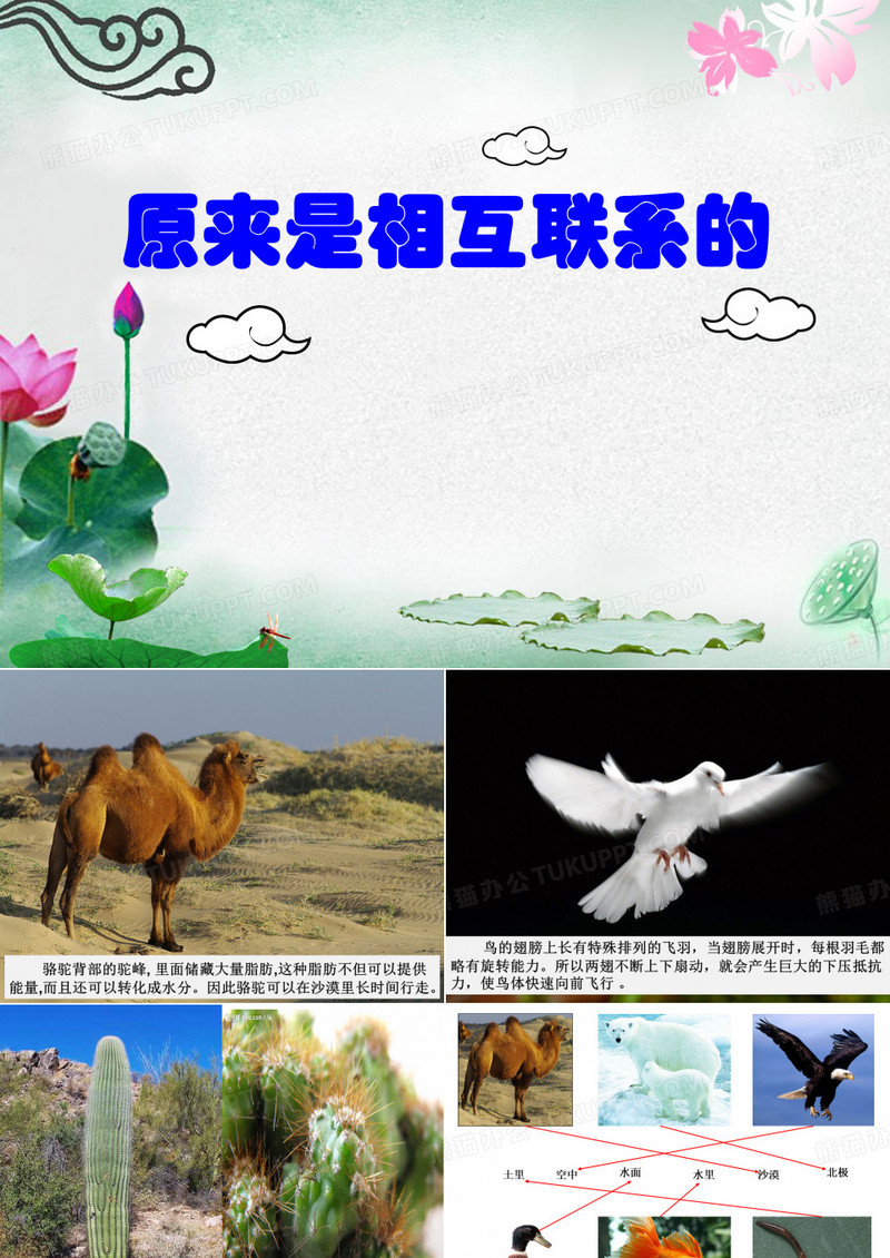 原来是相互关联的PPT精品课件