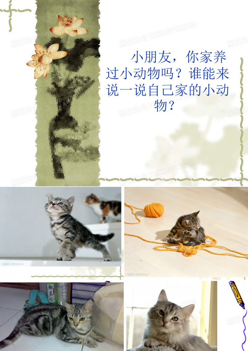 8卡罗尔和她的小猫