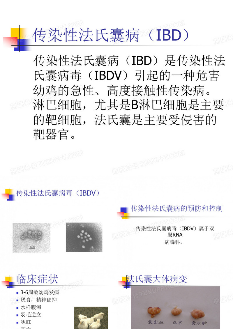 禽病防制