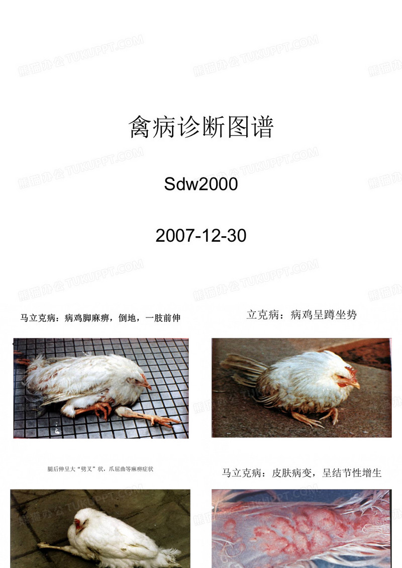 禽病诊断图谱