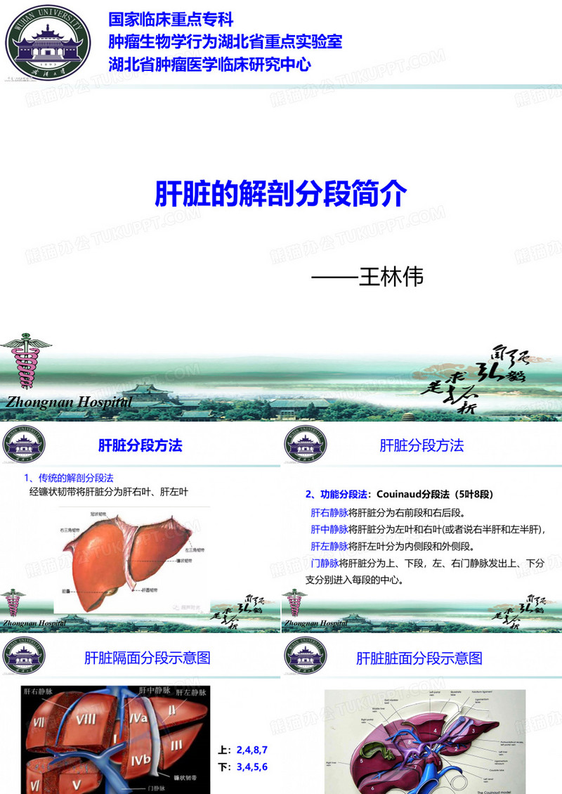 肝脏分段解剖
