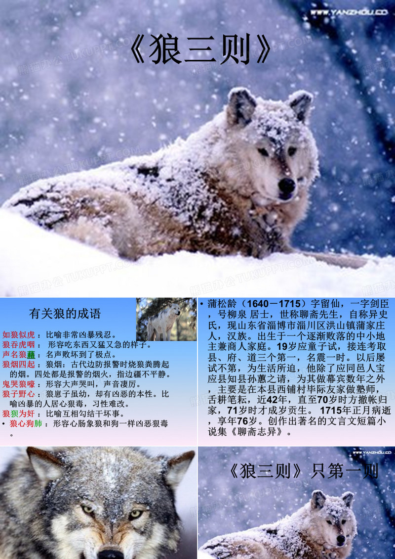 狼三则有关狼的成语