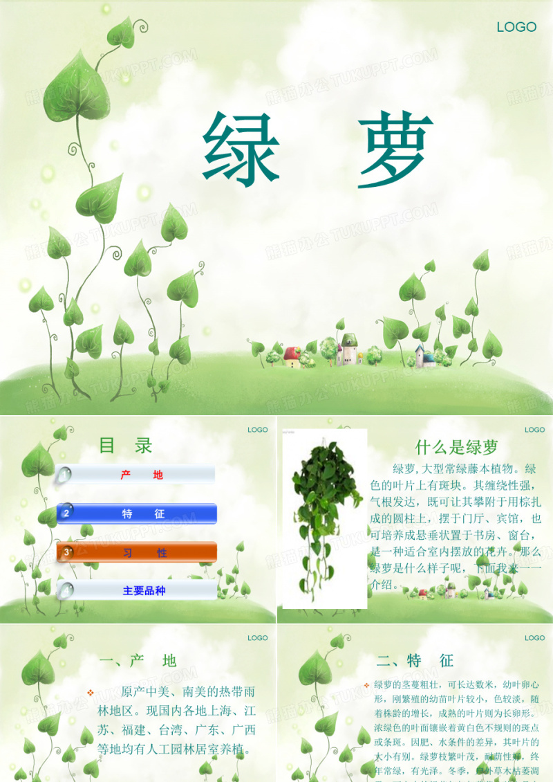 绿萝介绍
