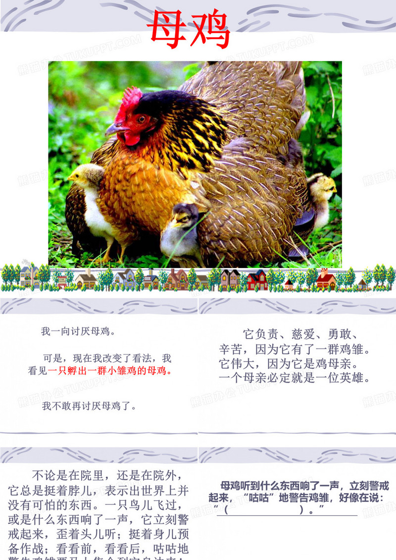 24母鸡