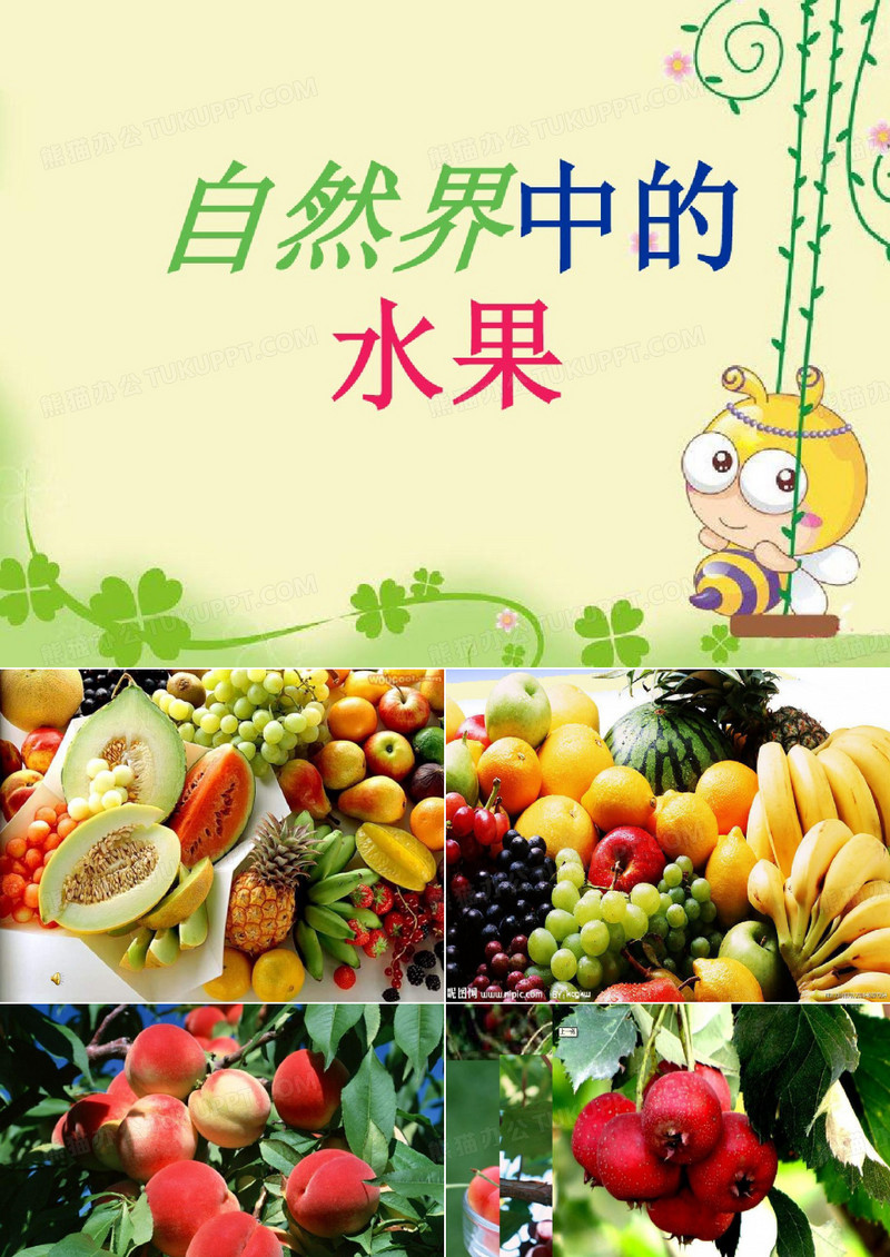 《画水果》美术课件