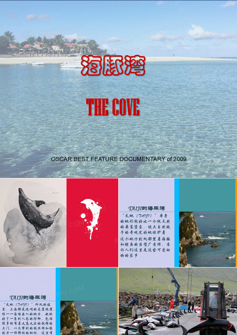 海豚湾