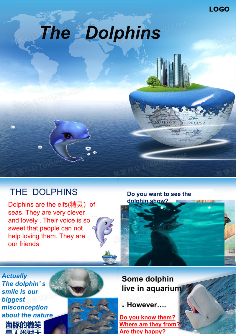 海豚湾PPT