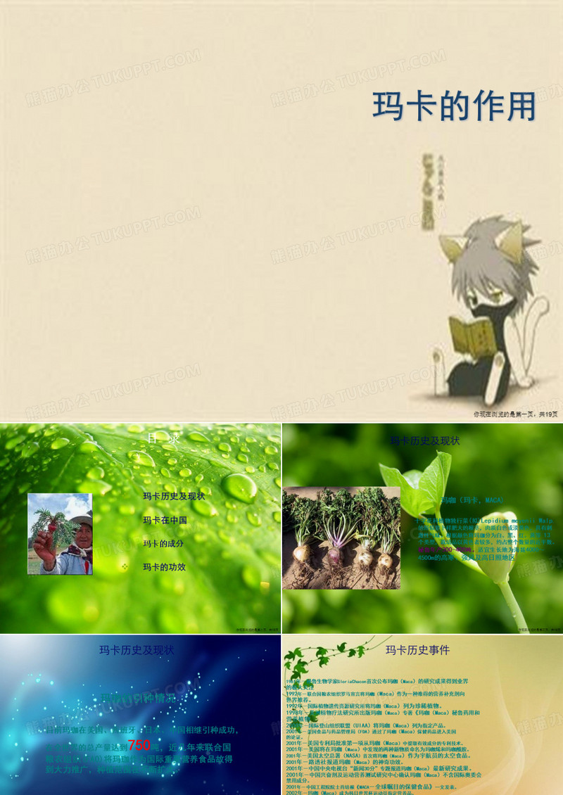 玛卡的作用