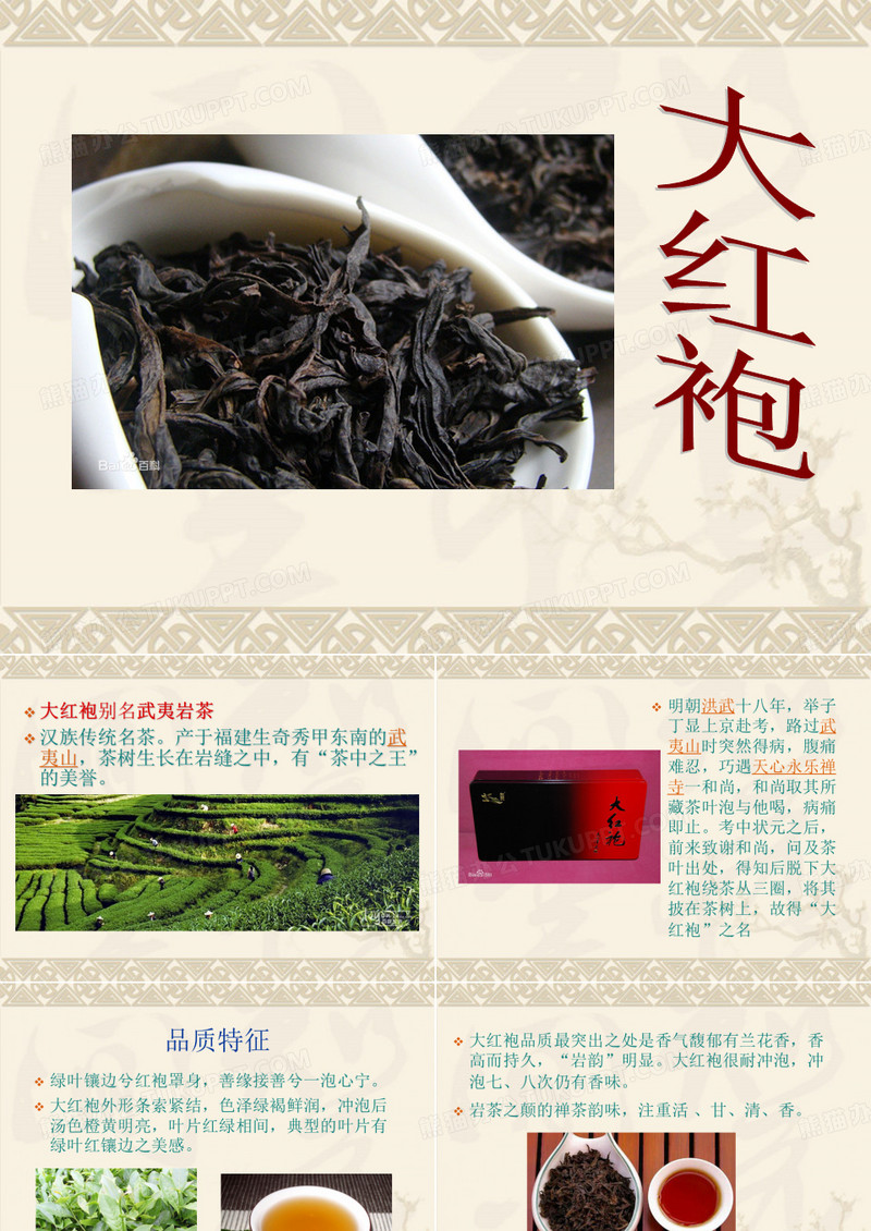 大红袍介绍