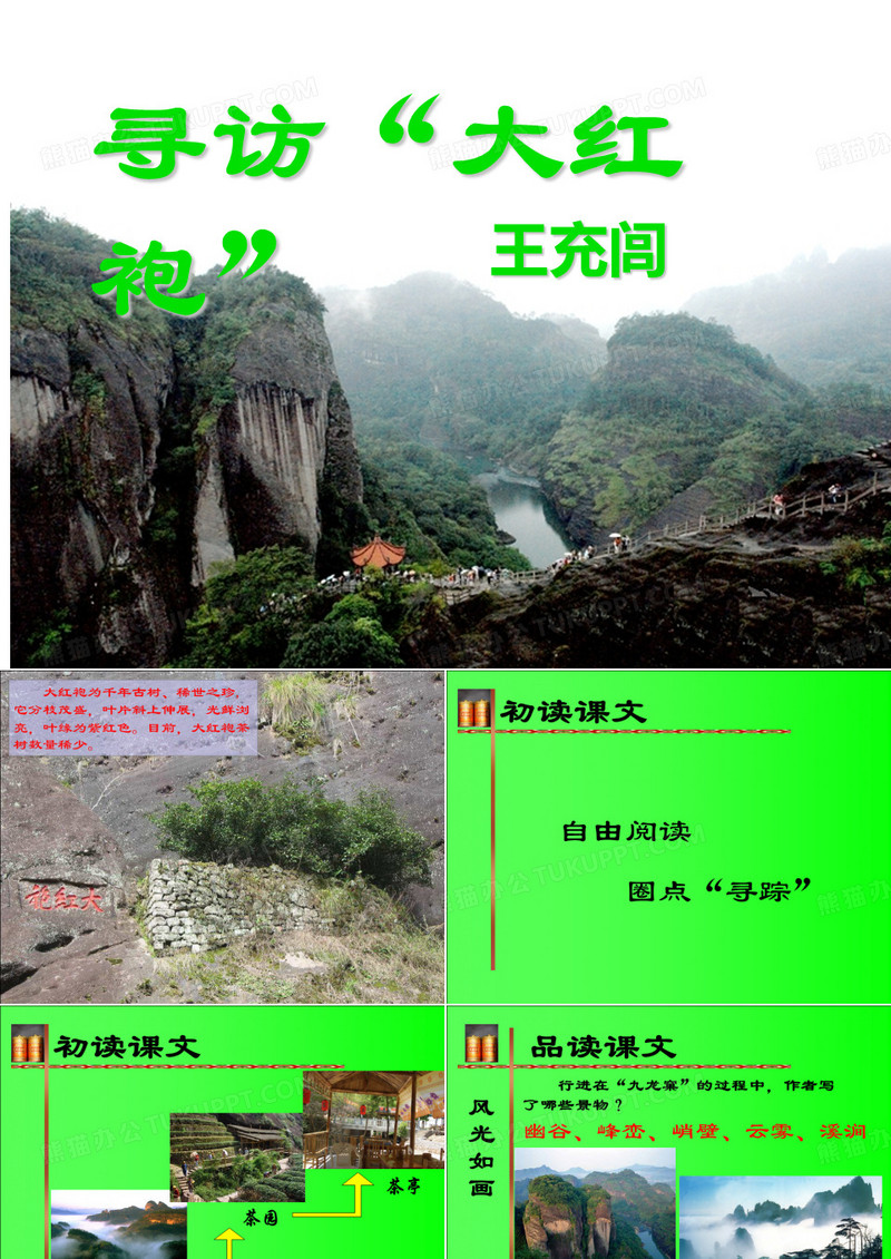 8 寻访“大红袍”