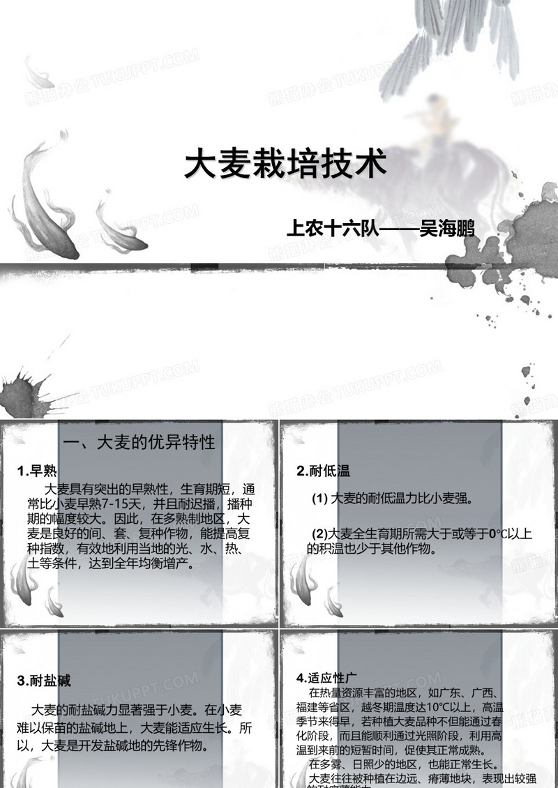 大麦栽培技术ppt课件