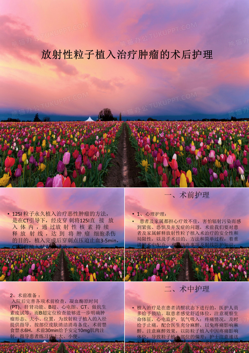 放 射 性 粒 子 植 入 治 疗 肿 瘤 的 术 后 护 理[优质PPT]