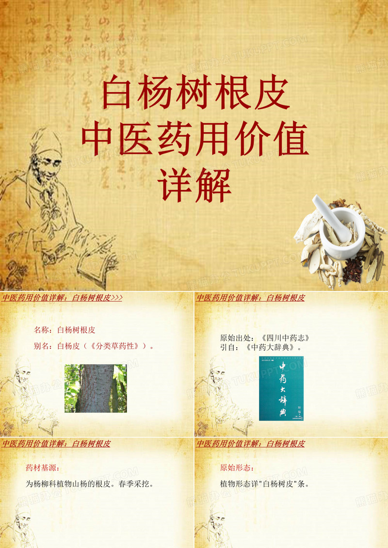 中药学_白杨树根皮_药材详解课件模板