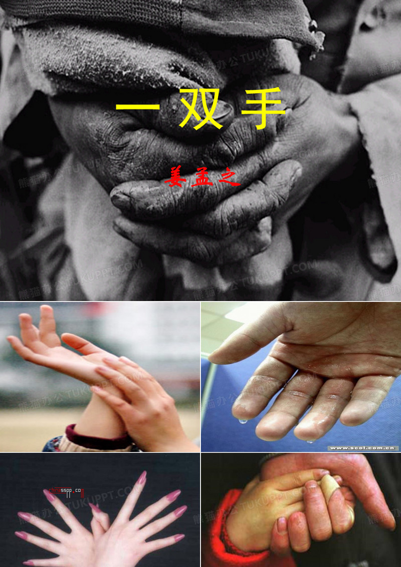一双手PPT