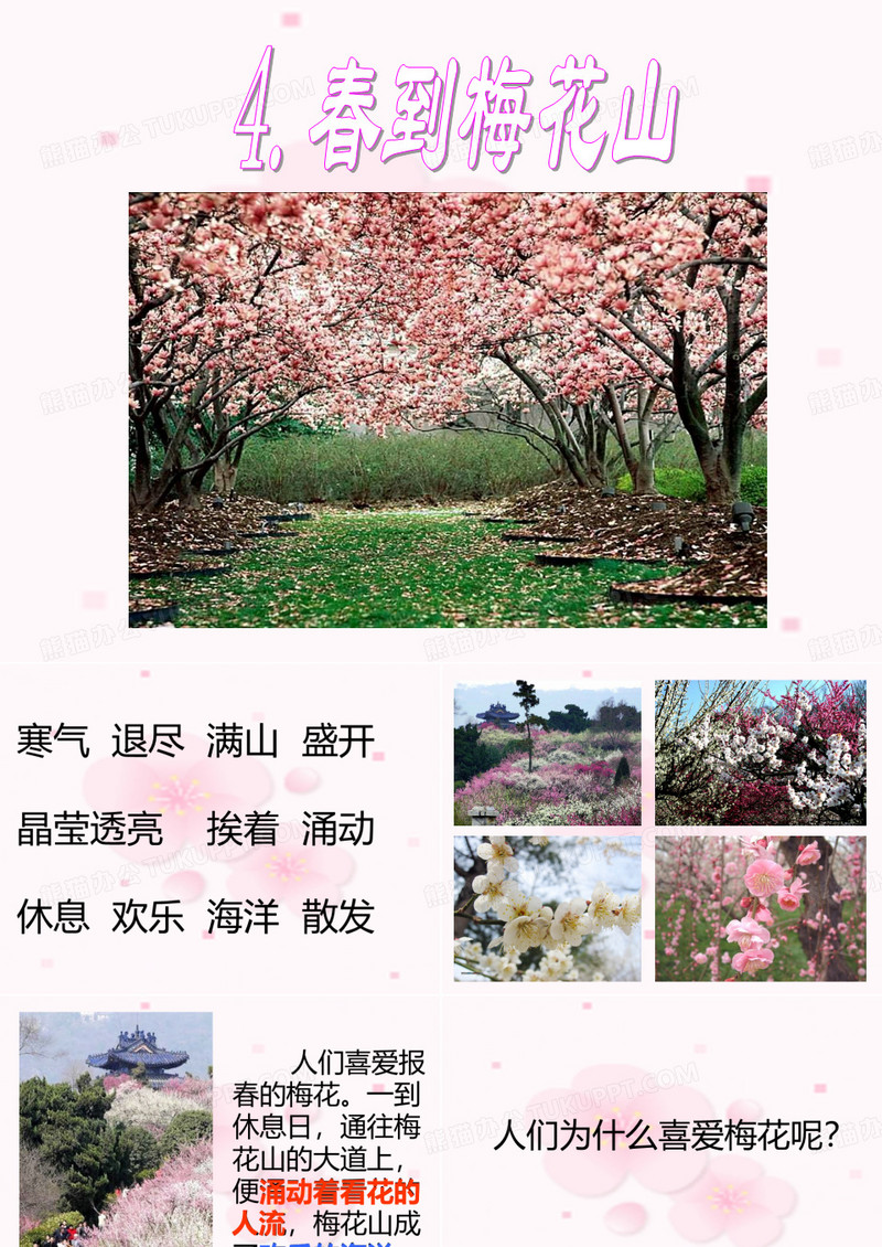 春到梅花山