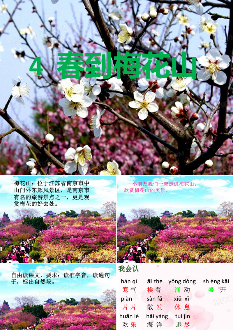4.春到梅花山第1课时