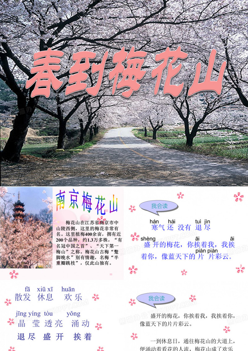《春到梅花山》PPT优秀教学课件3
