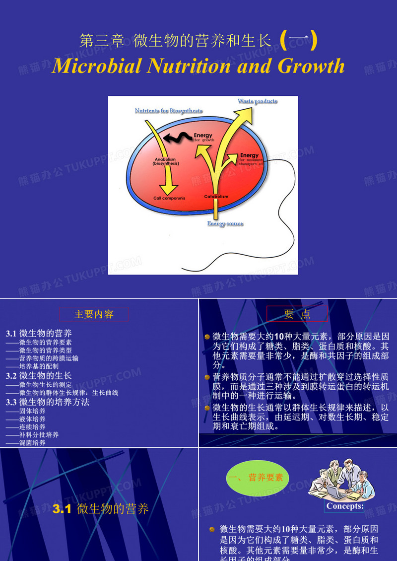 微生物的营养