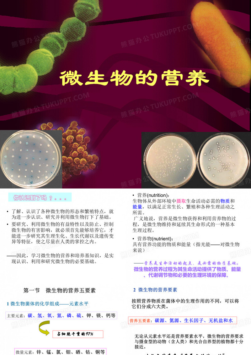 微生物的营养