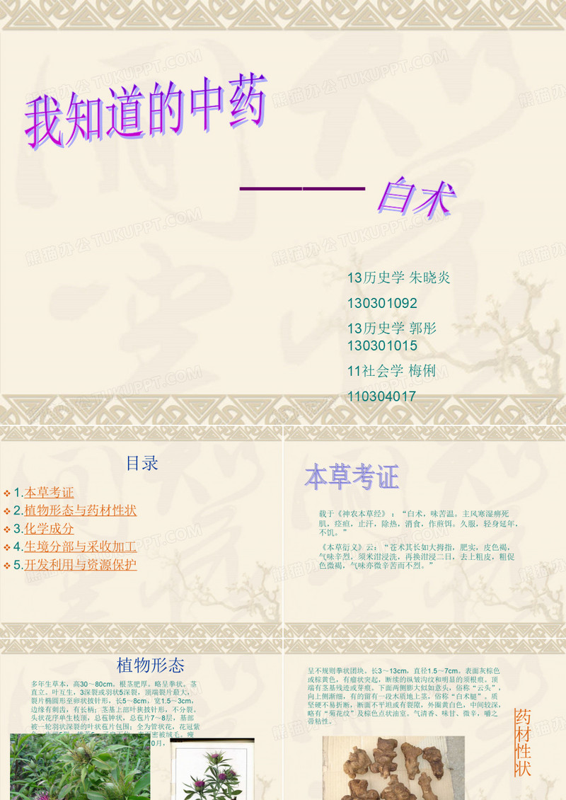 白术