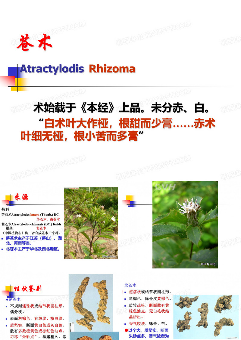 苍术、白术ys