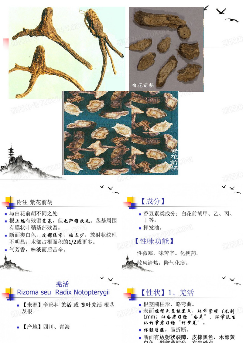 白术苍术石菖蒲ppt