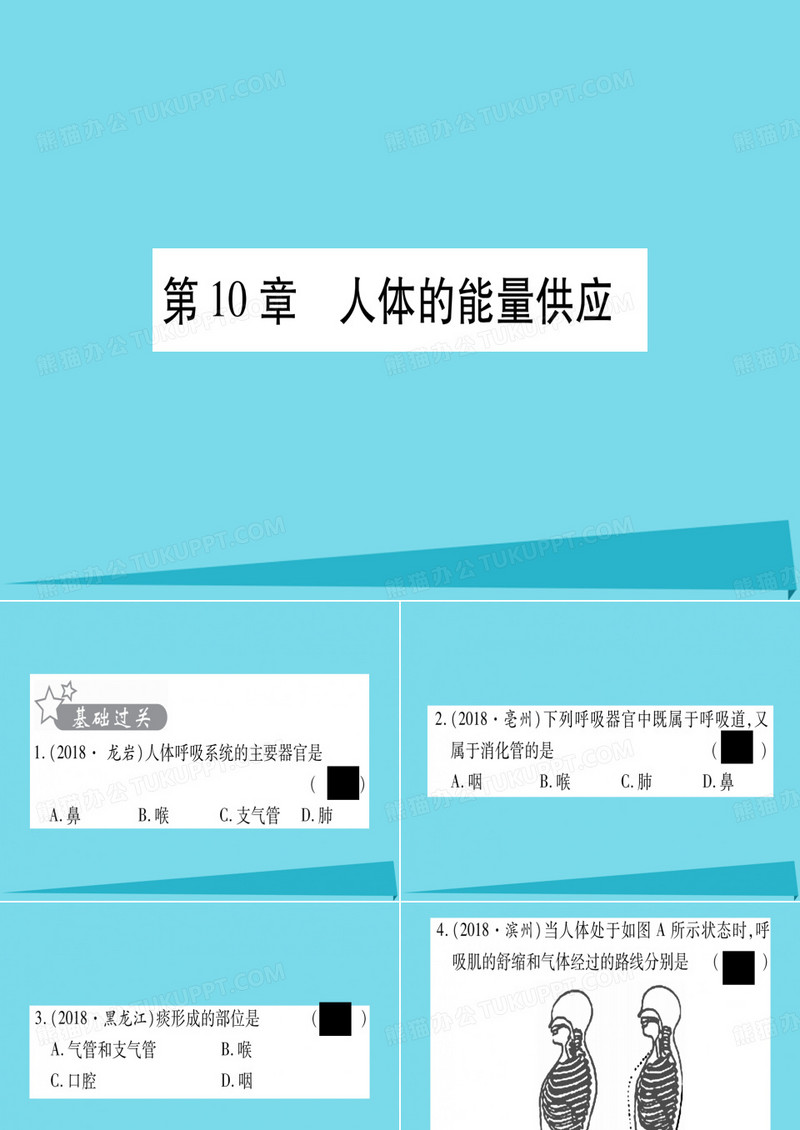 贵港中考生物总复习七年级下册  人体的能量供应习题课件