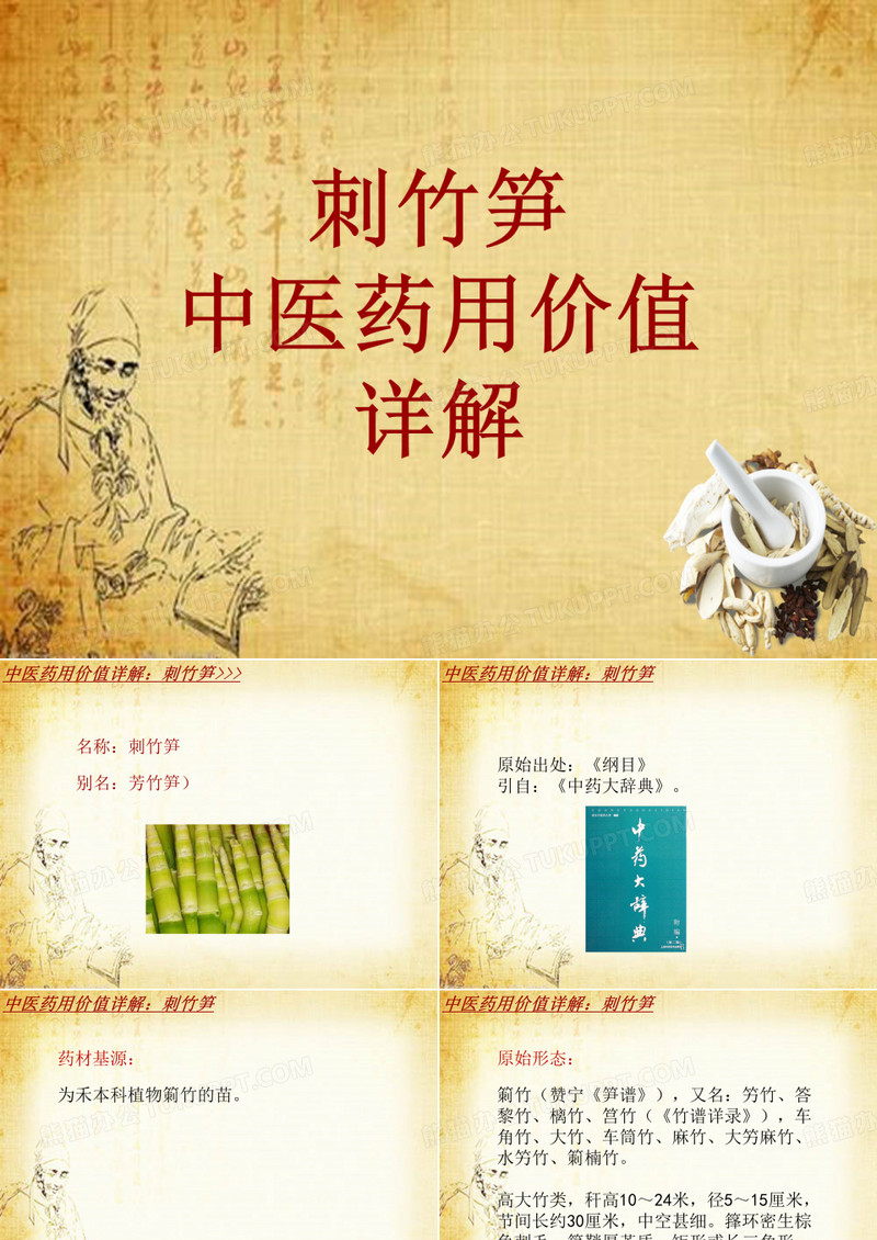 中药学_刺竹笋_药材详解课件模板