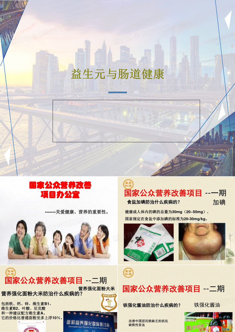 益生元与肠道健康共60页