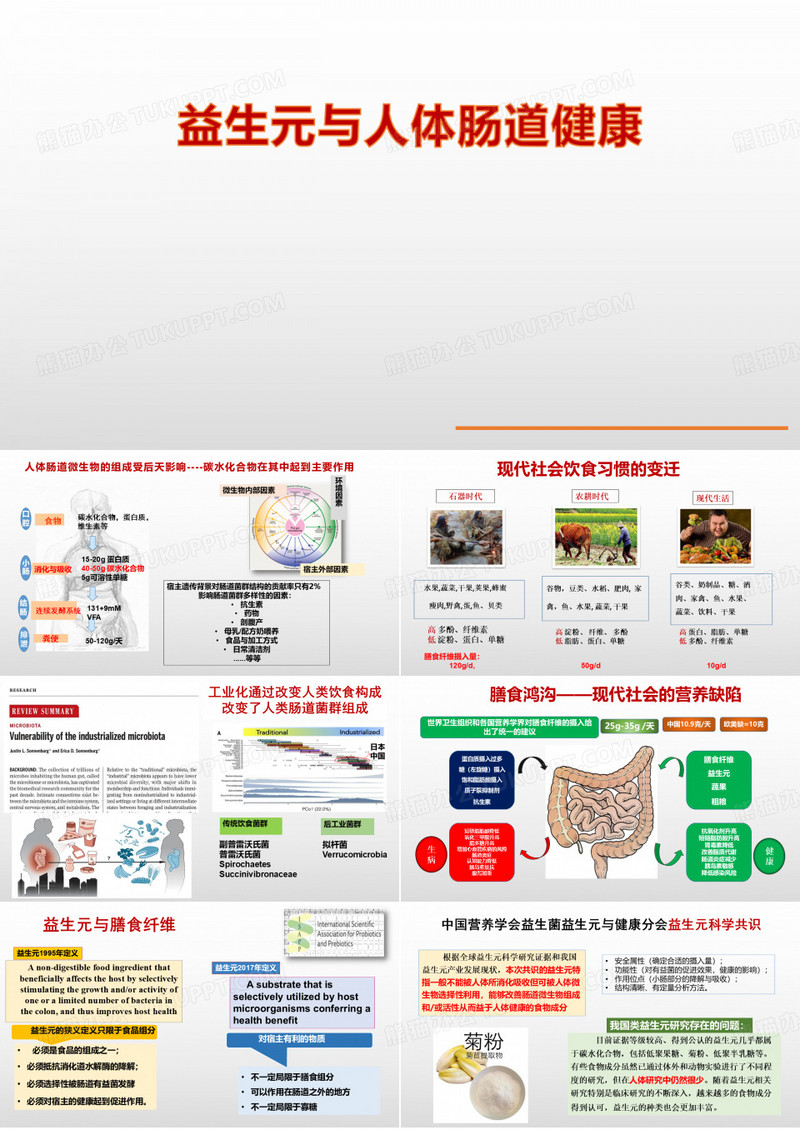益生元与人体肠道健康_新营养食品产品分享课件