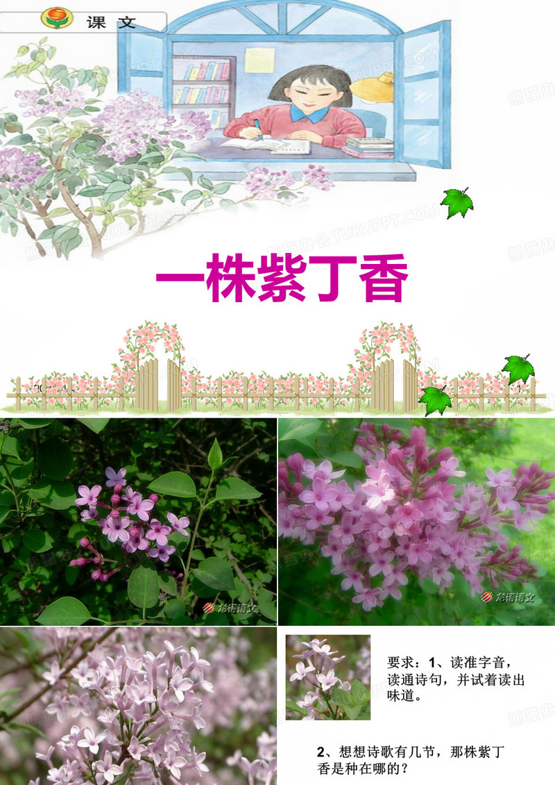 一株丁香花