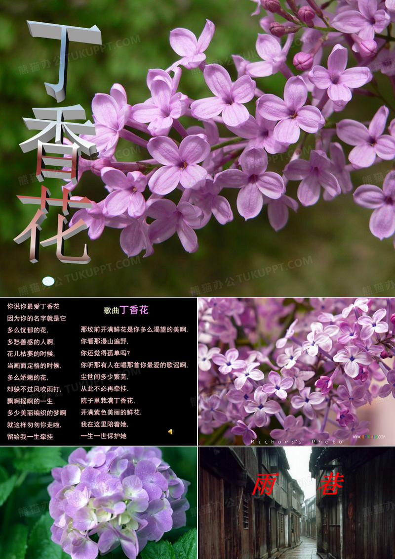 歌曲丁香花