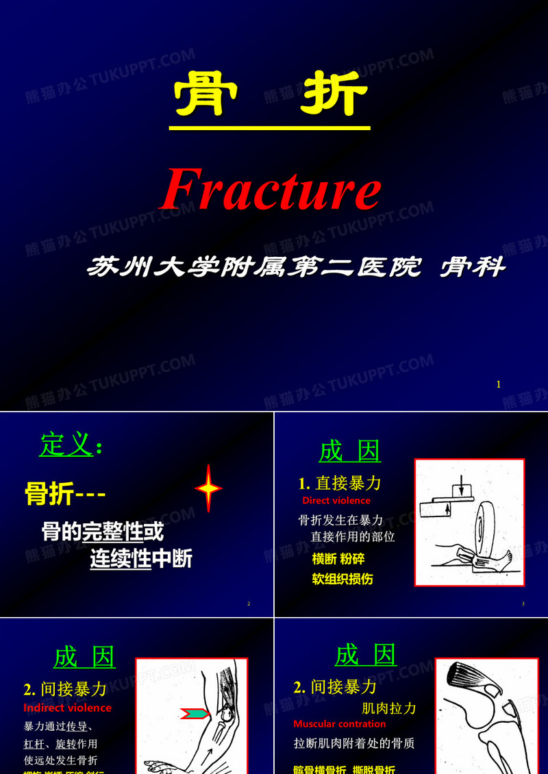 骨折概论